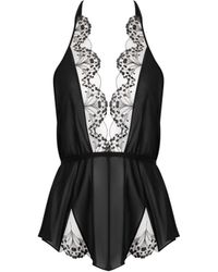 Bluebella - Marisa Chiffon Sheer Teddy - Lyst