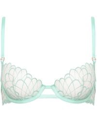 Bluebella - Rosetta Wired Bra Mint - Lyst