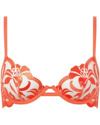 Bluebella - Leonora Floral Embroidered Bra Coral - Lyst