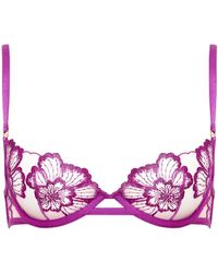 Bluebella - Catalina Bra Bright Violet/sheer - Lyst