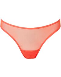 Bluebella - Naomi Mesh Brief Coral - Lyst