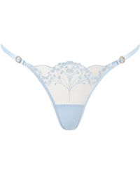 Bluebella - Bluebella Marisa Embroidered Sheer Thong - Lyst