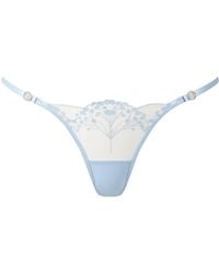 Bluebella - Marisa Embroidered Sheer Brief - Lyst