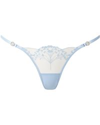 Bluebella - Marisa Embroidered Sheer Brief - Lyst