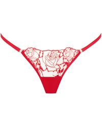 Bluebella - String Rosalie Rouge/Transparent - Lyst