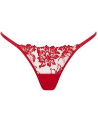 Bluebella - Samara Embroidered Thong - Lyst