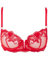 Bluebella - Marseille Embroidered Sheer Bra - Lyst