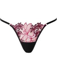 Bluebella - Calantha Floral Brief Cherry Lacquer/Virtual - Lyst