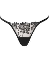 Bluebella - Samara Floral Embroidered Sheer Thong - Lyst