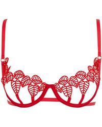 Bluebella - Sapphira Bra - Lyst