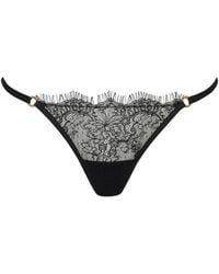 Bluebella - Camelia Lace Brief - Lyst