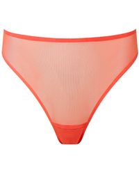 Bluebella - Naomi High-Waisted Mesh Thong Coral - Lyst