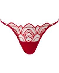 Bluebella - Soraya Sheer Embroidered Brief Savvy - Lyst