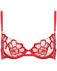 Bluebella - Catalina Wired Bra Red/sheer - Lyst