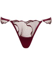 Bluebella - Marabel Embroidered Sheer Thong Cherry - Lyst