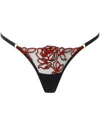 Bluebella - Malina Sheer Floral Thong - Lyst