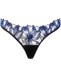 Bluebella - Bluebella String Lyandra Égyptien/Noir/Transparent - Lyst
