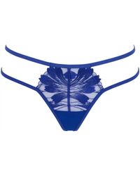 Bluebella - Colette Thong Surf The Web - Lyst