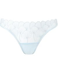 Bluebella - Vermont Embroidered Sheer Brief Ice Water - Lyst