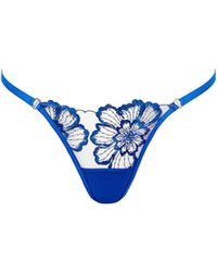 Bluebella - Bluebella Catalina String Égyptien/Transparent - Lyst