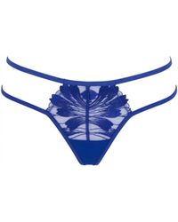 Bluebella - Colette Thong Surf The Web - Lyst