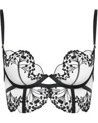 Bluebella - Marisa Embroidered Sheer Bra Black - Lyst