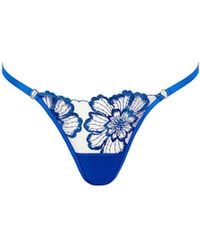 Bluebella - Catalina Brief Egyptian Blue/sheer - Lyst