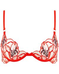 Bluebella - Asha Sheer Floral Bra - Lyst