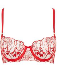 Bluebella - Rosalie Sheer Balcony Bra - Lyst