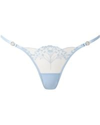 Bluebella - Marisa Embroidered Sheer Brief - Lyst