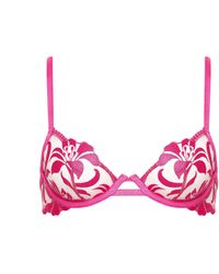 Bluebella - Leonora Wired Bra Fuchsia Pink/sheer - Lyst