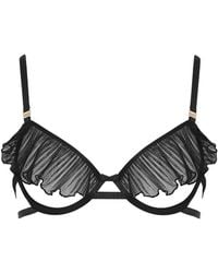Bluebella - Matisse Sheer Open Bra - Lyst