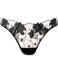 Bluebella - Yvette Embroidered Sheer Thong - Lyst