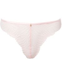 Bluebella - Peyton Lace Thong - Lyst