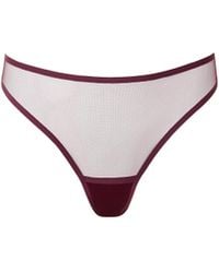Bluebella - Naomi Mesh High-Waist String - Lyst