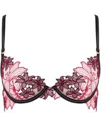 Bluebella - Calantha Floral Bra Cherry Lacquer/Virtual - Lyst