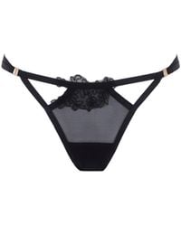 Bluebella - Bluebella sierra string schwarz - Lyst