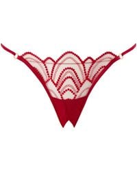 Bluebella - Soraya Sheer Embroidered Open Brief Savvy - Lyst