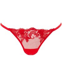 Bluebella - Marseille Embroidered Sheer Thong - Lyst
