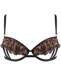 Bluebella - Matisse Semi Open Bra Leopard - Lyst