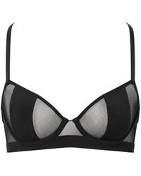 Bluebella - Orla Sheer Mesh Bra - Lyst
