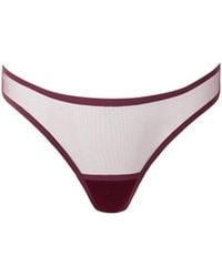 Bluebella - Naomi Mesh Thong Cherry - Lyst