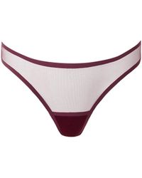 Bluebella - Naomi Mesh Thong Cherry - Lyst