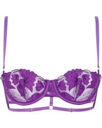 Bluebella - Isla Bra Electric - Lyst