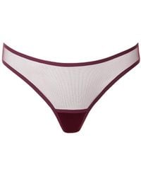 Bluebella - Naomi Mesh Brief Cherry - Lyst