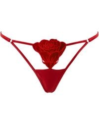 Bluebella - Rose Embroidered Open Front Thong Savvy - Lyst