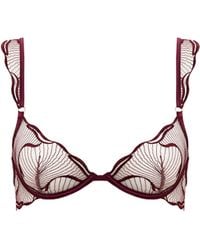 Bluebella - Marabel Embroidered Sheer Bra Cherry - Lyst