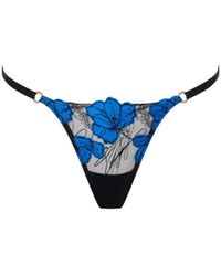 Bluebella - Bluebella String Sorento Noir/ Égyptien - Lyst