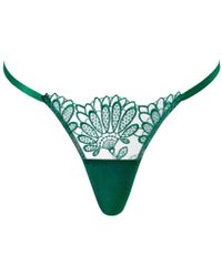 Bluebella - Amaris Sheer Floral Thong - Lyst