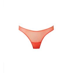 Bluebella - Naomi Mesh Thong Coral - Lyst